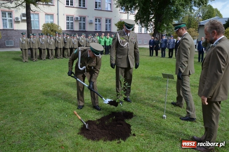 Zdjęcie w galerii na portalu naszraciborz.pl: W komendzie śląskiej Straży Granicznej posadzono Dąb Niepodległości wiadomości z regionu