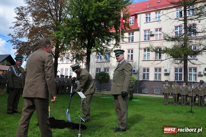 Zdjęcie w galerii na portalu naszraciborz.pl: W komendzie śląskiej Straży Granicznej posadzono Dąb Niepodległości wiadomości z regionu