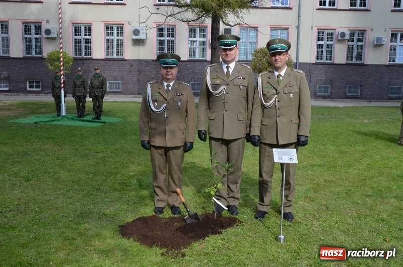 Zdjęcie w galerii na portalu naszraciborz.pl: W komendzie śląskiej Straży Granicznej posadzono Dąb Niepodległości wiadomości z regionu