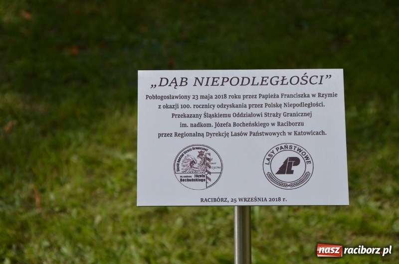 Zdjęcie w galerii na portalu naszraciborz.pl: W komendzie śląskiej Straży Granicznej posadzono Dąb Niepodległości wiadomości z regionu