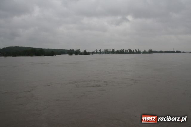 Zdjęcie w galerii na portalu naszraciborz.pl: Poziom wody spada wiadomości z regionu