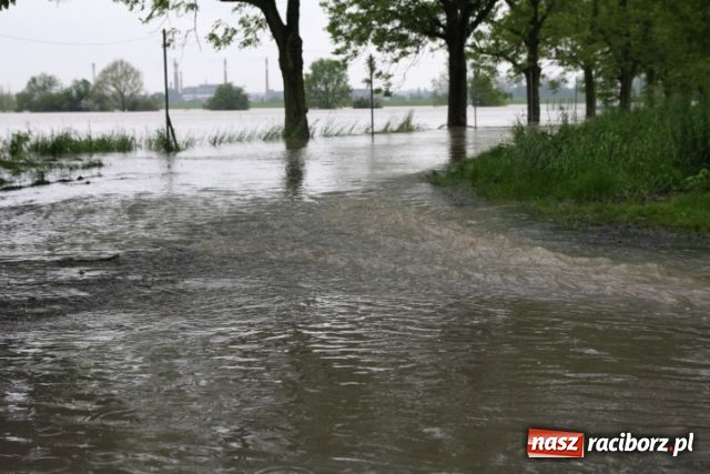 Zdjęcie w galerii na portalu naszraciborz.pl: Poziom wody spada wiadomości z regionu