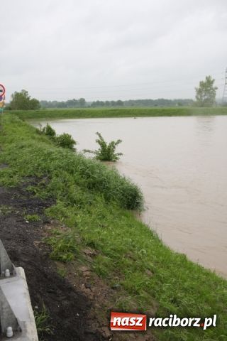 Zdjęcie w galerii na portalu naszraciborz.pl: Poziom wody spada wiadomości z regionu