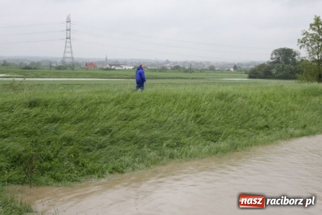 Zdjęcie w galerii na portalu naszraciborz.pl: Poziom wody spada wiadomości z regionu