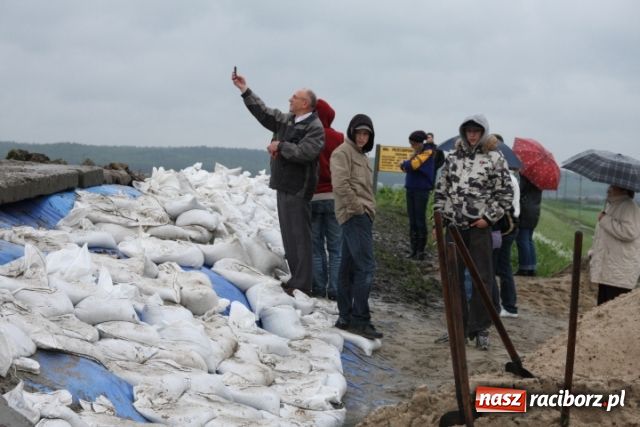 Zdjęcie w galerii na portalu naszraciborz.pl: Poziom wody spada wiadomości z regionu