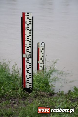 Zdjęcie w galerii na portalu naszraciborz.pl: Poziom wody spada wiadomości z regionu