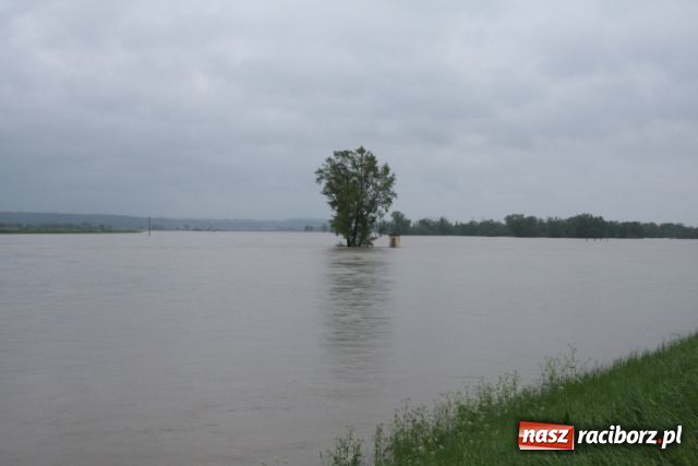 Zdjęcie w galerii na portalu naszraciborz.pl: Poziom wody spada wiadomości z regionu