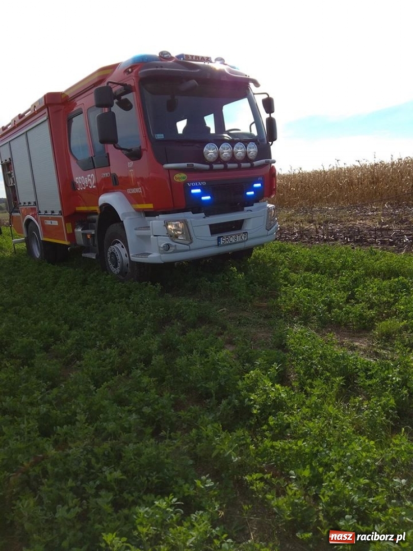 Zdjęcie w galerii na portalu naszraciborz.pl: W Krzanowicach paliło się ściernisko po kukurydzy  wiadomości z regionu