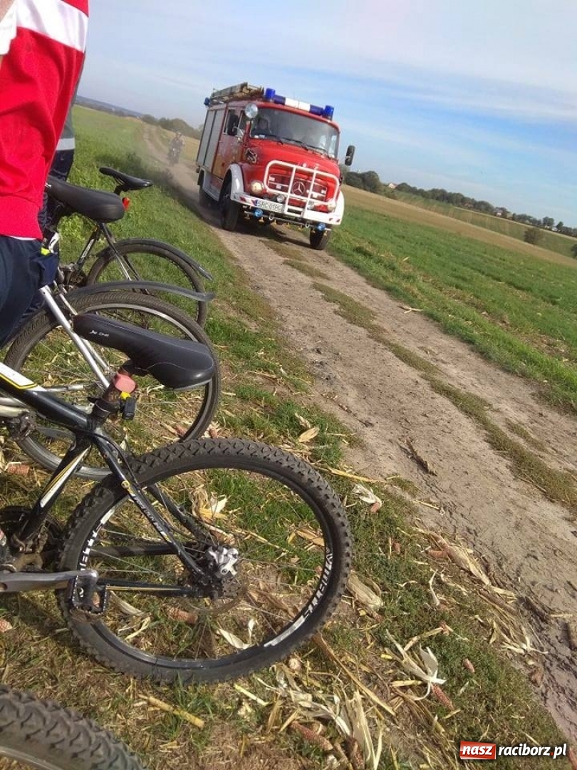 Zdjęcie w galerii na portalu naszraciborz.pl: W Krzanowicach paliło się ściernisko po kukurydzy  wiadomości z regionu