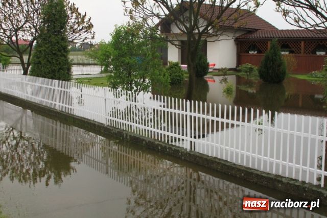 Zdjęcie w galerii na portalu naszraciborz.pl: Zalało drugą część Turza wiadomości z regionu