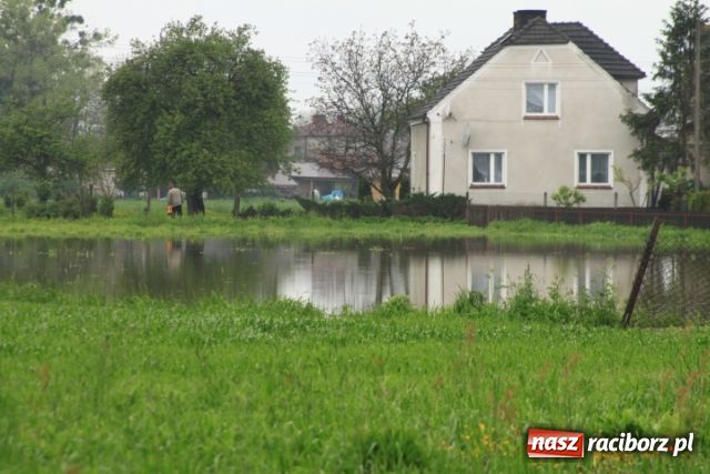 Zdjęcie w galerii na portalu naszraciborz.pl: Zalało drugą część Turza wiadomości z regionu