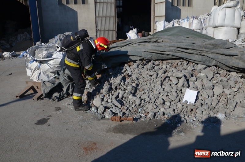 Zdjęcie w galerii na portalu naszraciborz.pl: Funkcjonariusze ŚlOSG ujawnili nielegalne składowisko odpadów wiadomości z regionu