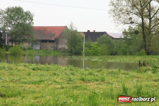 Zdjęcie w galerii na portalu naszraciborz.pl: W Ciechowicach podtopienia wiadomości z regionu