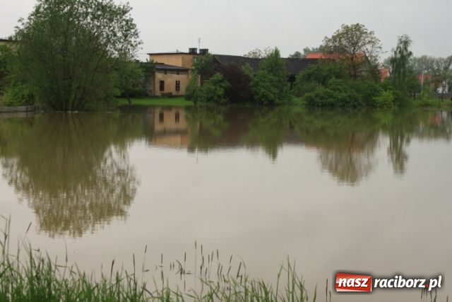Zdjęcie w galerii na portalu naszraciborz.pl: W Ciechowicach podtopienia wiadomości z regionu