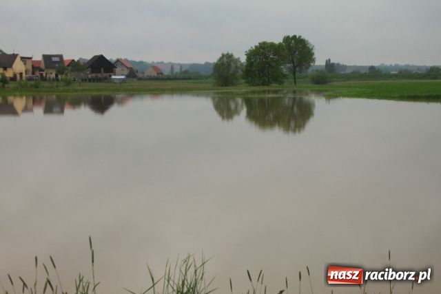 Zdjęcie w galerii na portalu naszraciborz.pl: W Ciechowicach podtopienia wiadomości z regionu