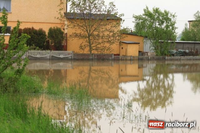 Zdjęcie w galerii na portalu naszraciborz.pl: W Ciechowicach podtopienia wiadomości z regionu
