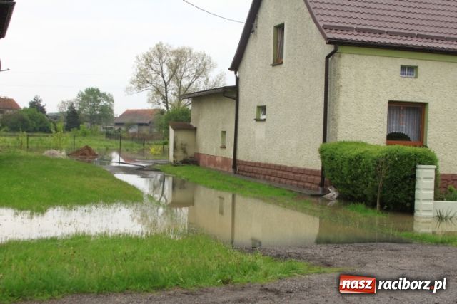 Zdjęcie w galerii na portalu naszraciborz.pl: W Ciechowicach podtopienia wiadomości z regionu