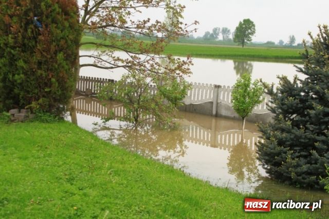 Zdjęcie w galerii na portalu naszraciborz.pl: W Ciechowicach podtopienia wiadomości z regionu
