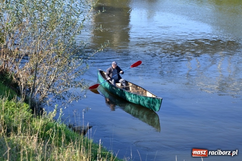 Zdjęcie w galerii na portalu naszraciborz.pl: Ostani spływ w sezonie. Symboliczne zamknięcie Meandrów Odry wiadomości z regionu