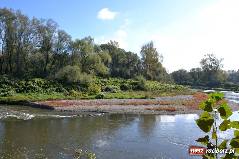 Zdjęcie w galerii na portalu naszraciborz.pl: Ostani spływ w sezonie. Symboliczne zamknięcie Meandrów Odry wiadomości z regionu