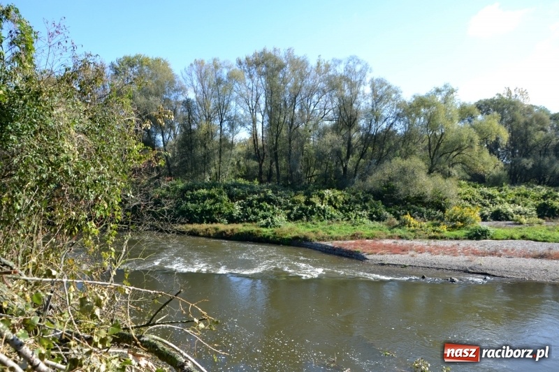 Zdjęcie w galerii na portalu naszraciborz.pl: Ostani spływ w sezonie. Symboliczne zamknięcie Meandrów Odry wiadomości z regionu