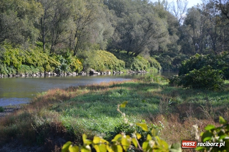 Zdjęcie w galerii na portalu naszraciborz.pl: Ostani spływ w sezonie. Symboliczne zamknięcie Meandrów Odry wiadomości z regionu