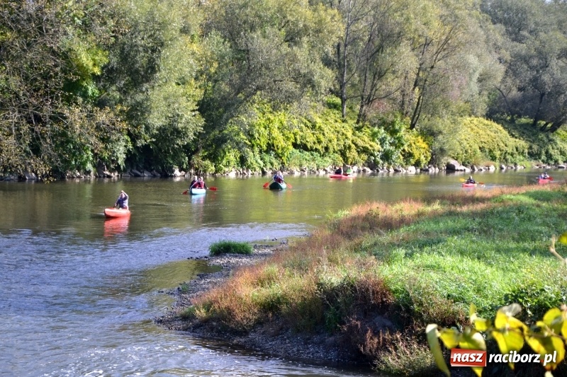 Zdjęcie w galerii na portalu naszraciborz.pl: Ostani spływ w sezonie. Symboliczne zamknięcie Meandrów Odry wiadomości z regionu