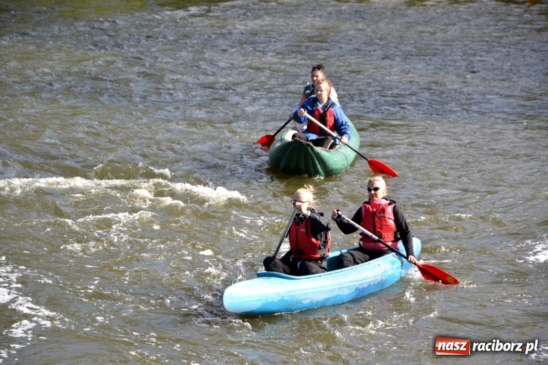 Zdjęcie w galerii na portalu naszraciborz.pl: Ostani spływ w sezonie. Symboliczne zamknięcie Meandrów Odry wiadomości z regionu