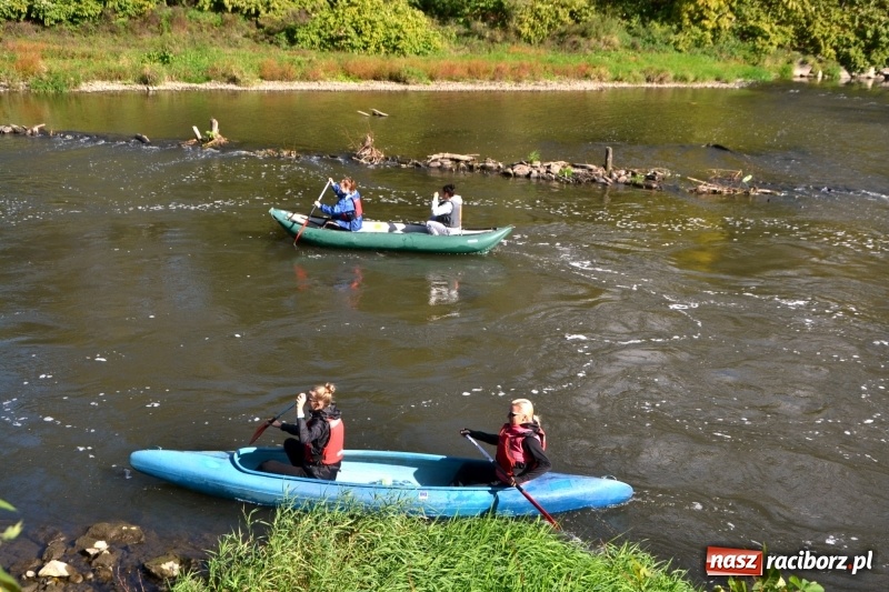 Zdjęcie w galerii na portalu naszraciborz.pl: Ostani spływ w sezonie. Symboliczne zamknięcie Meandrów Odry wiadomości z regionu