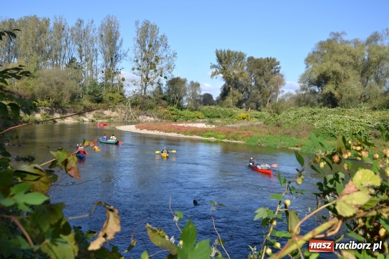 Zdjęcie w galerii na portalu naszraciborz.pl: Ostani spływ w sezonie. Symboliczne zamknięcie Meandrów Odry wiadomości z regionu