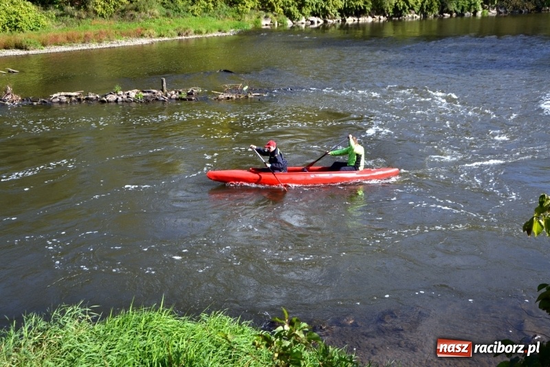 Zdjęcie w galerii na portalu naszraciborz.pl: Ostani spływ w sezonie. Symboliczne zamknięcie Meandrów Odry wiadomości z regionu