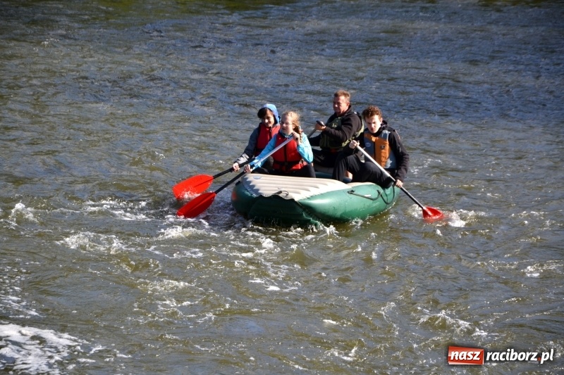 Zdjęcie w galerii na portalu naszraciborz.pl: Ostani spływ w sezonie. Symboliczne zamknięcie Meandrów Odry wiadomości z regionu