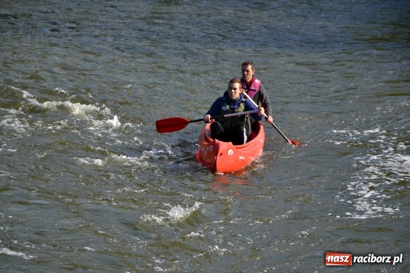 Zdjęcie w galerii na portalu naszraciborz.pl: Ostani spływ w sezonie. Symboliczne zamknięcie Meandrów Odry wiadomości z regionu