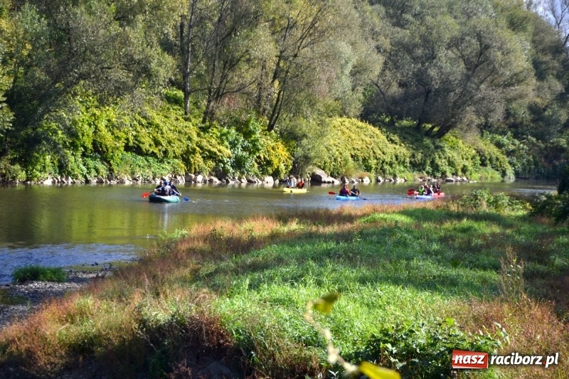 Zdjęcie w galerii na portalu naszraciborz.pl: Ostani spływ w sezonie. Symboliczne zamknięcie Meandrów Odry wiadomości z regionu