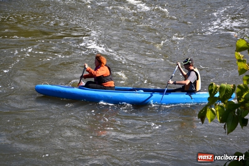 Zdjęcie w galerii na portalu naszraciborz.pl: Ostani spływ w sezonie. Symboliczne zamknięcie Meandrów Odry wiadomości z regionu