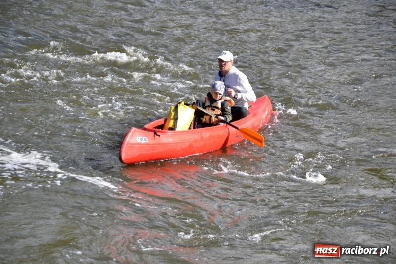 Zdjęcie w galerii na portalu naszraciborz.pl: Ostani spływ w sezonie. Symboliczne zamknięcie Meandrów Odry wiadomości z regionu