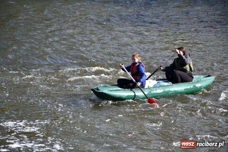 Zdjęcie w galerii na portalu naszraciborz.pl: Ostani spływ w sezonie. Symboliczne zamknięcie Meandrów Odry wiadomości z regionu