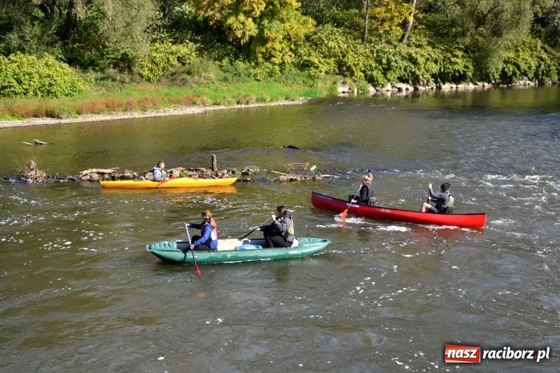 Zdjęcie w galerii na portalu naszraciborz.pl: Ostani spływ w sezonie. Symboliczne zamknięcie Meandrów Odry wiadomości z regionu