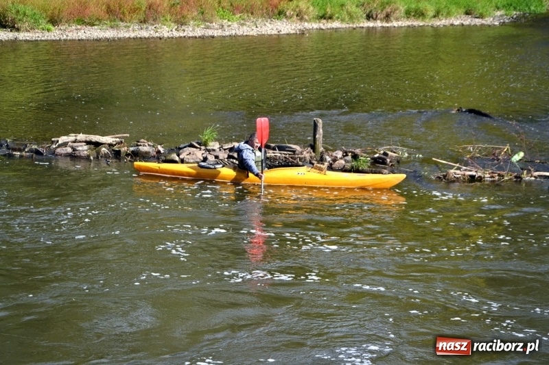 Zdjęcie w galerii na portalu naszraciborz.pl: Ostani spływ w sezonie. Symboliczne zamknięcie Meandrów Odry wiadomości z regionu