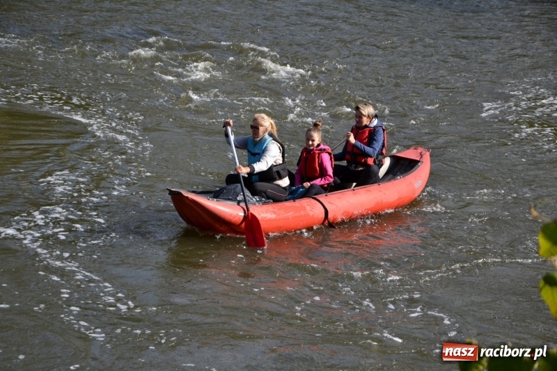 Zdjęcie w galerii na portalu naszraciborz.pl: Ostani spływ w sezonie. Symboliczne zamknięcie Meandrów Odry wiadomości z regionu