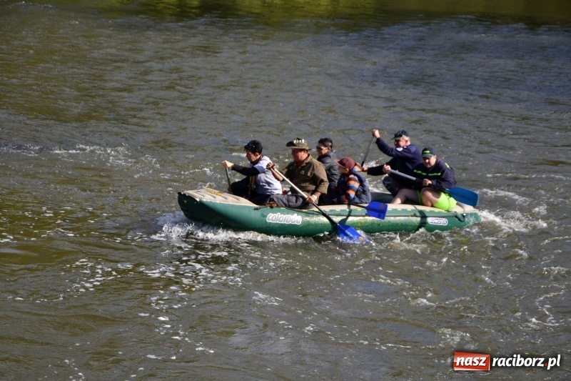 Zdjęcie w galerii na portalu naszraciborz.pl: Ostani spływ w sezonie. Symboliczne zamknięcie Meandrów Odry wiadomości z regionu