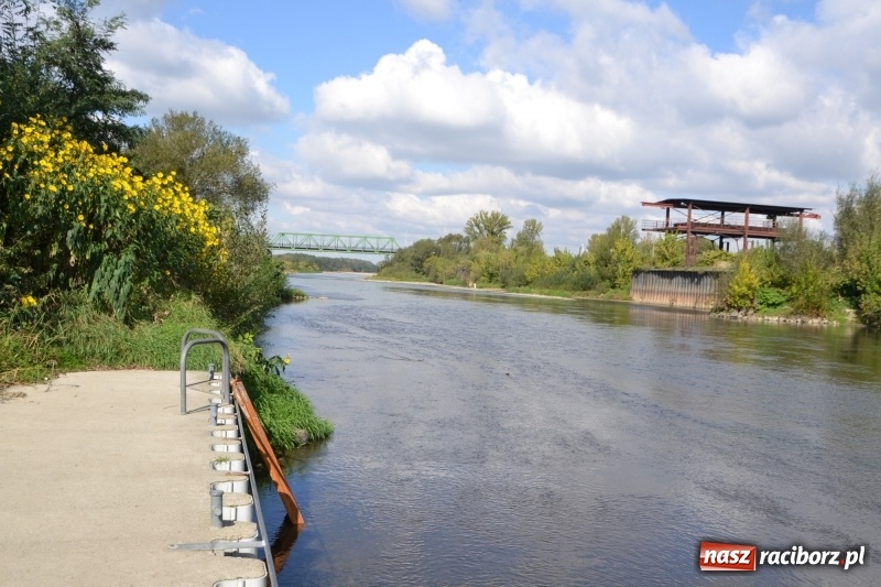 Zdjęcie w galerii na portalu naszraciborz.pl: Ostani spływ w sezonie. Symboliczne zamknięcie Meandrów Odry wiadomości z regionu