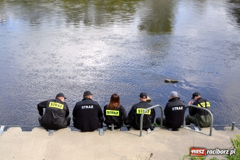 Zdjęcie w galerii na portalu naszraciborz.pl: Ostani spływ w sezonie. Symboliczne zamknięcie Meandrów Odry wiadomości z regionu