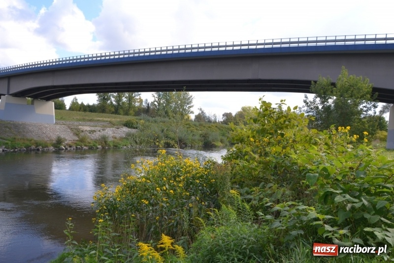 Zdjęcie w galerii na portalu naszraciborz.pl: Ostani spływ w sezonie. Symboliczne zamknięcie Meandrów Odry wiadomości z regionu