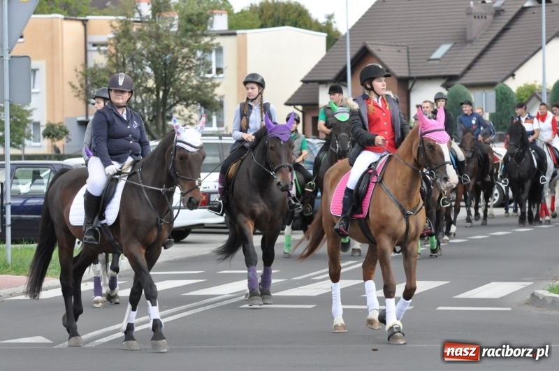Zdjęcie w galerii na portalu naszraciborz.pl: Raciborski Hubertus 2018. Przemarsz przez miasto i pogoń za lisem wiadomości z regionu
