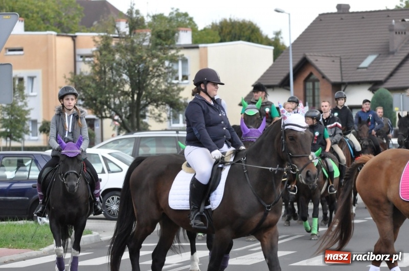 Zdjęcie w galerii na portalu naszraciborz.pl: Raciborski Hubertus 2018. Przemarsz przez miasto i pogoń za lisem wiadomości z regionu