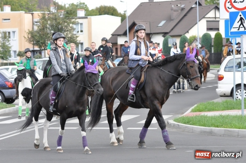 Zdjęcie w galerii na portalu naszraciborz.pl: Raciborski Hubertus 2018. Przemarsz przez miasto i pogoń za lisem wiadomości z regionu