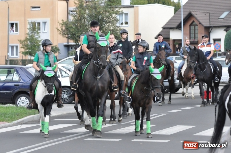 Zdjęcie w galerii na portalu naszraciborz.pl: Raciborski Hubertus 2018. Przemarsz przez miasto i pogoń za lisem wiadomości z regionu