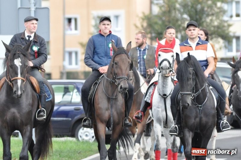 Zdjęcie w galerii na portalu naszraciborz.pl: Raciborski Hubertus 2018. Przemarsz przez miasto i pogoń za lisem wiadomości z regionu
