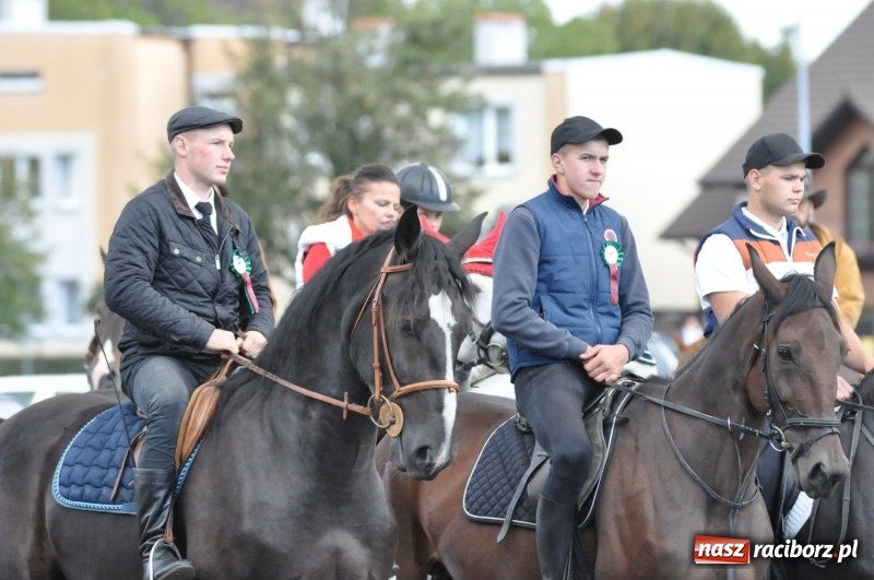 Zdjęcie w galerii na portalu naszraciborz.pl: Raciborski Hubertus 2018. Przemarsz przez miasto i pogoń za lisem wiadomości z regionu
